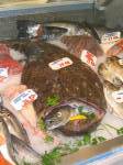 Kleinmarkthalle: Seeteufel und andere Fische 16.10.03