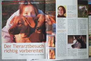 Freiheit für Tiere - Bild