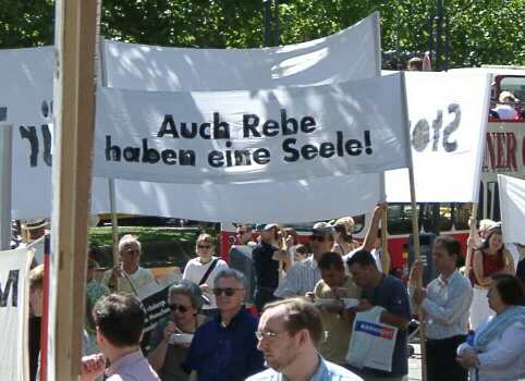 Rehe haben eine Seele