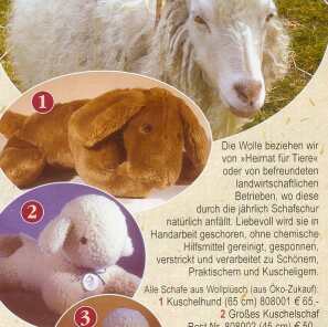 Schlecht für Schafe